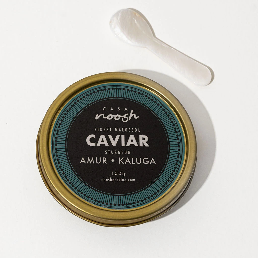Casa Noosh caviar jar with a spoon on a white background