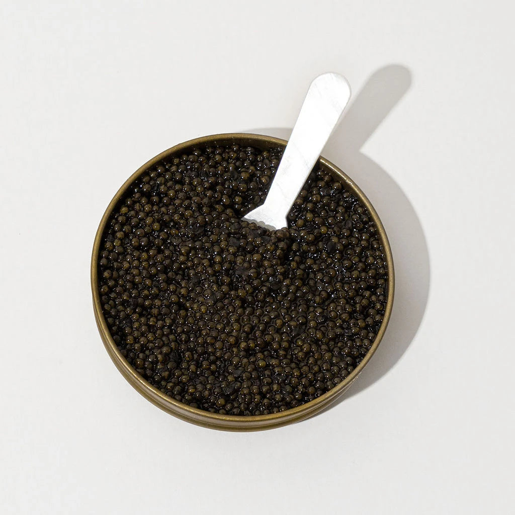 Container of black caviar with a spoon on a white background