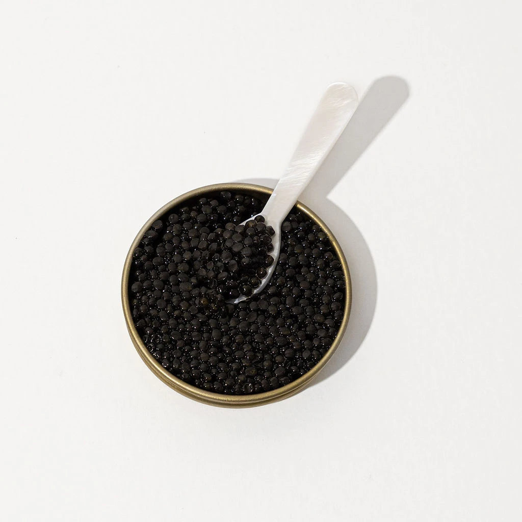 Jar of caviar with a spoon on a white background